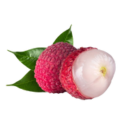 Litchi