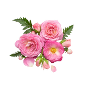 Floral notes