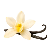 Vanilla