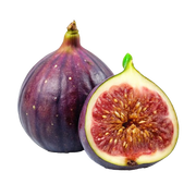 Fig